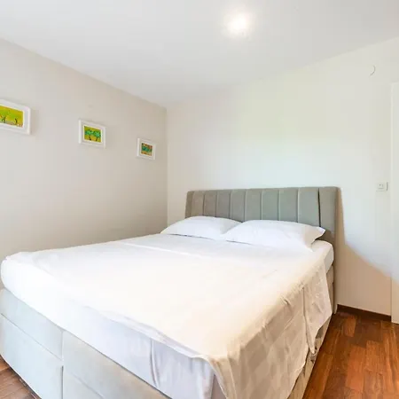 New Five Star Superior * ザトン